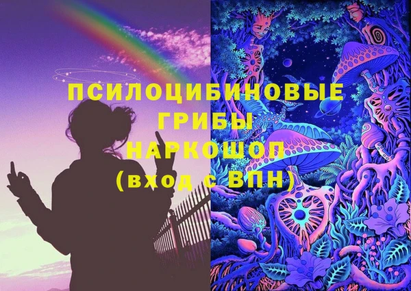 прущие грибы Зеленокумск