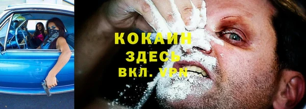 прущие грибы Зеленокумск