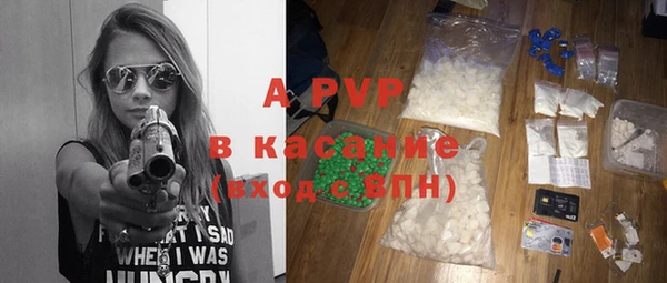 прущие грибы Зеленокумск