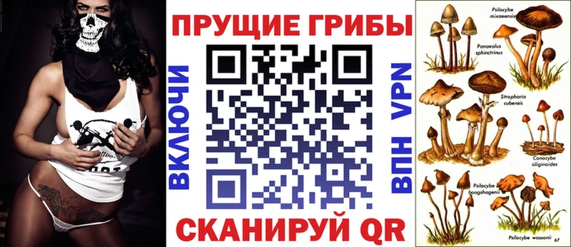 Купить  Невель  Галлюциногенные грибы прущие грибы 